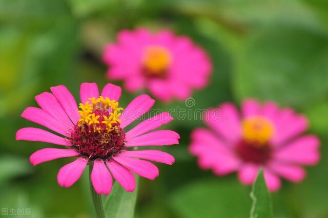 生活不容易大家且行且珍惜,生活不易为了家且行且珍惜