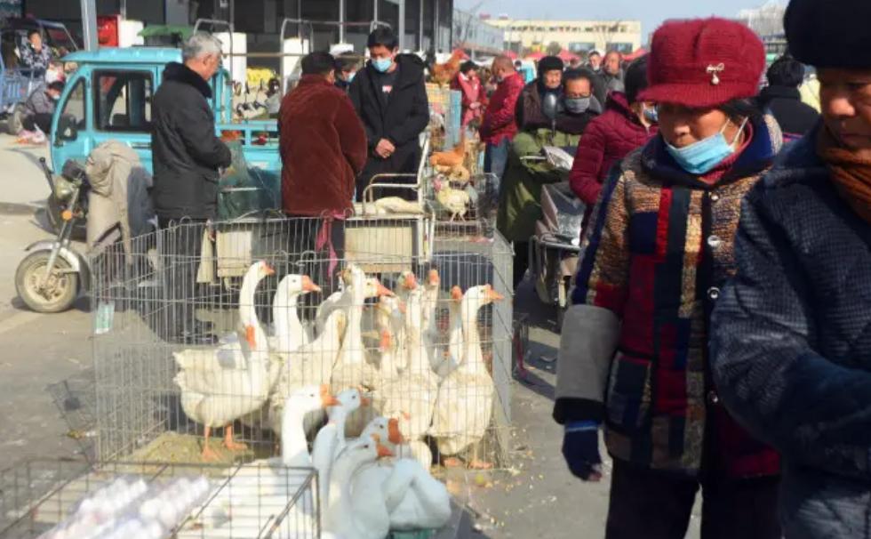 农民被警察抓走了后续,陕西一村民被查处