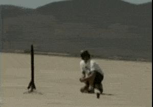 搞笑趣图：抓了一只变异神兽，不知道什么时候可以化成人形