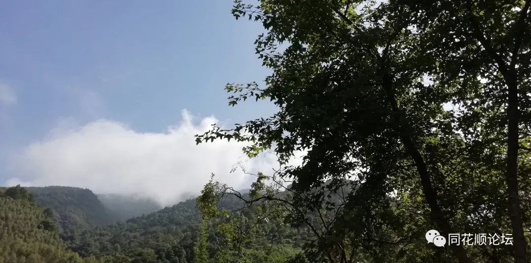 溯溪攀爬,溯溪徒步露营