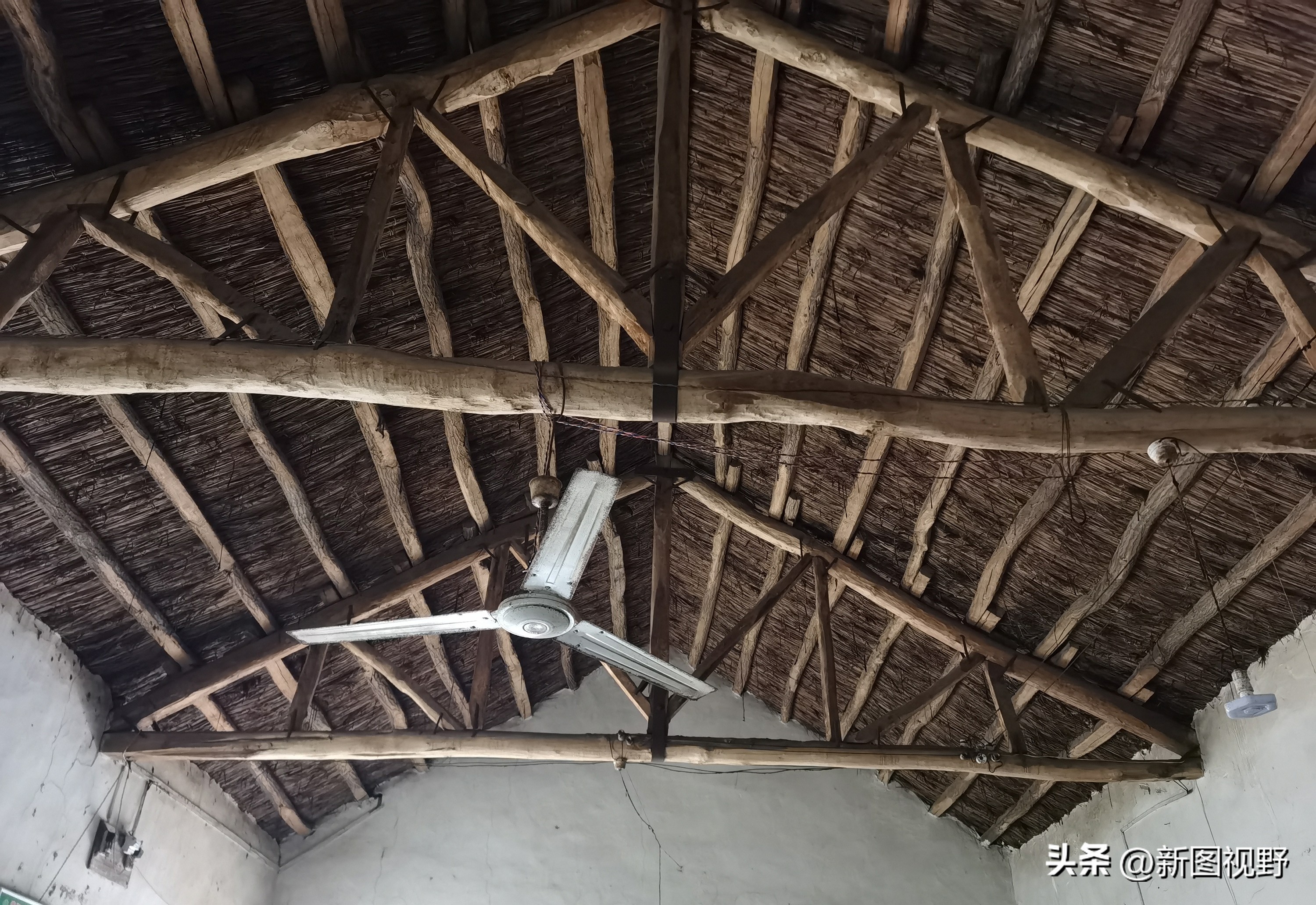 山村有家“私人商店”，经营模式特别，内部装修极其罕见