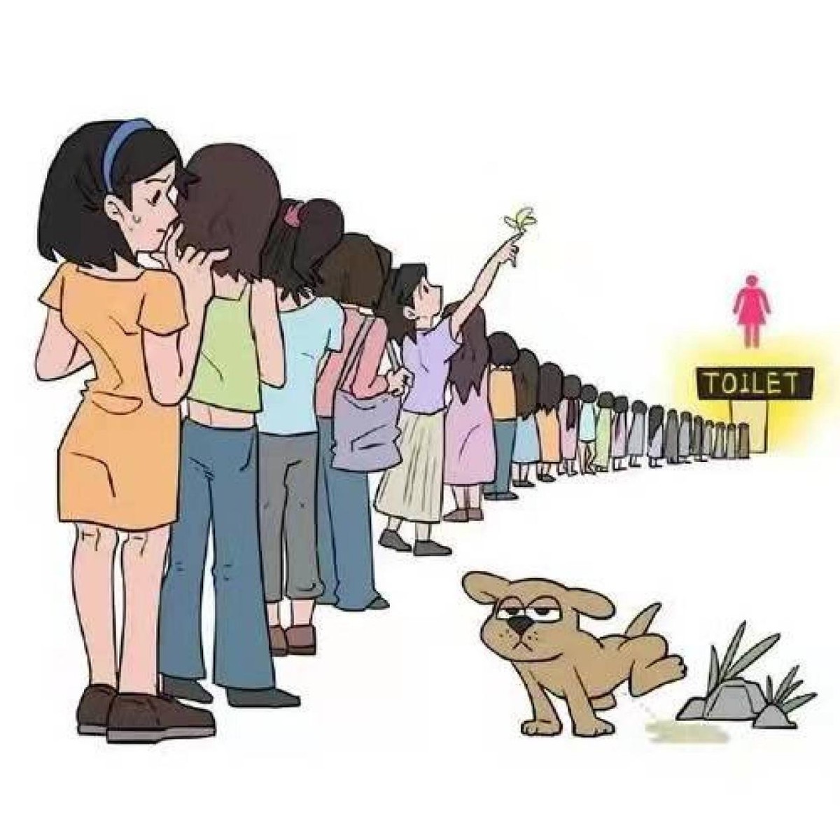 未来女厕位或将多于男厕,女性为何在外如厕难?她们在里面做什么