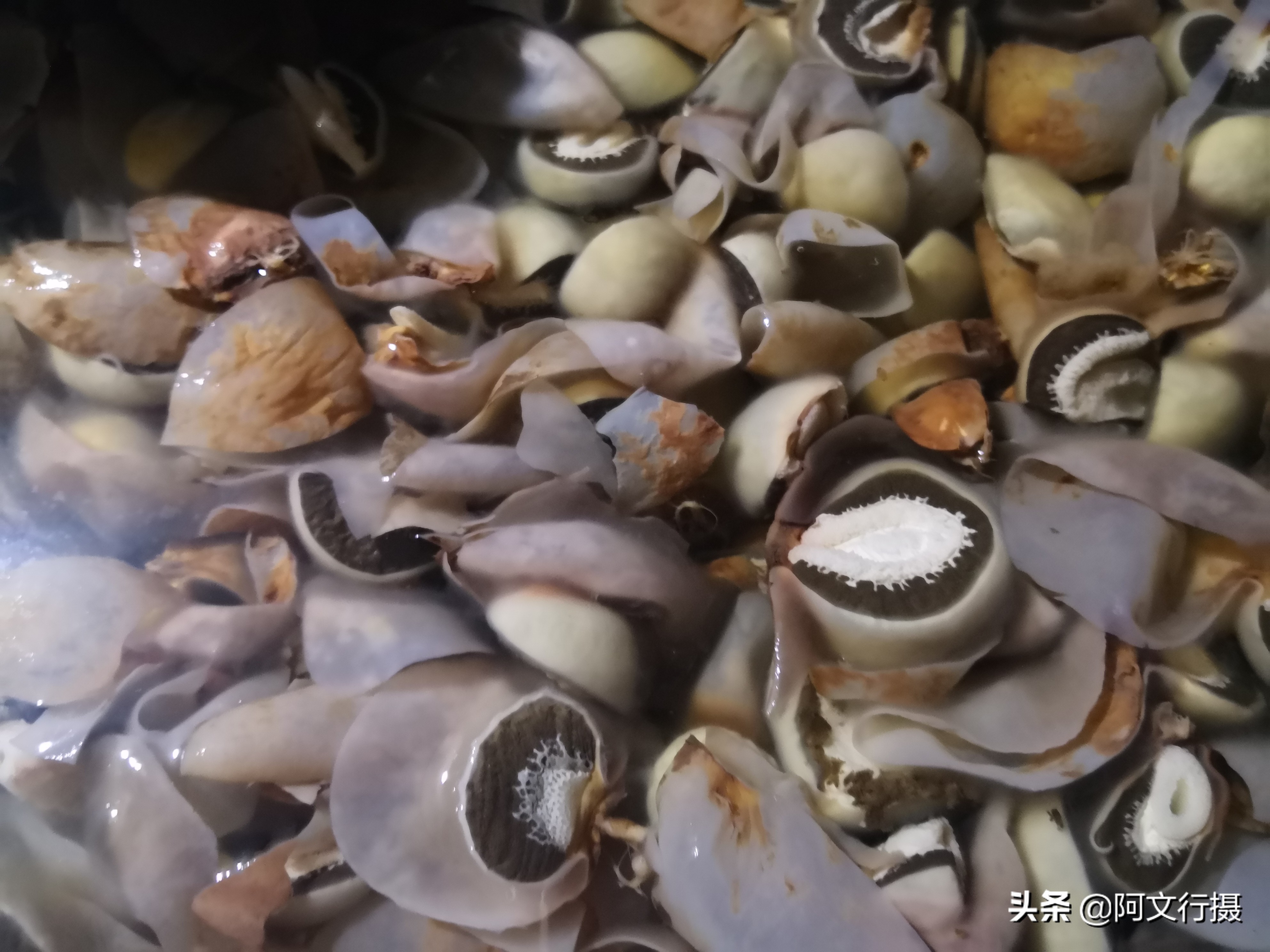 自驾游蜀南竹海一日游攻略,蜀南竹海自驾游旅游攻略图