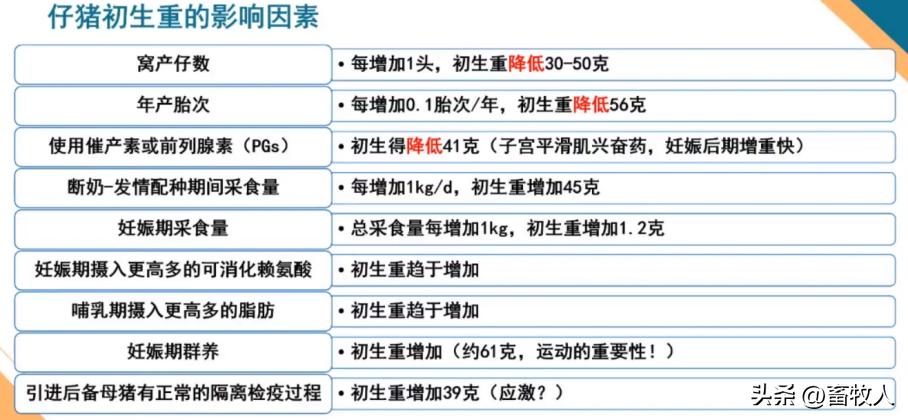 万建美博士:母仔一体化低蛋白猪料配方方案的设计与应用关键