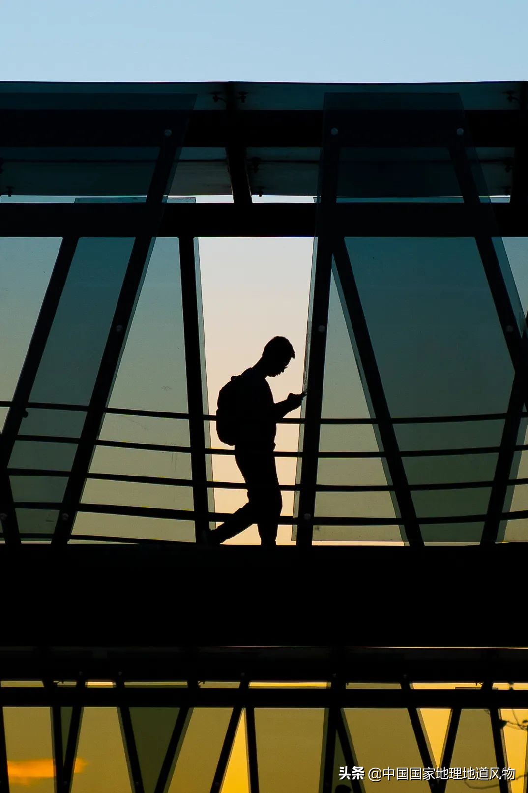 中南大学中南矿冶学院,中南是哪个大学