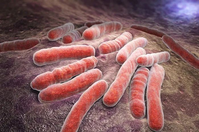 长在肺上部的结节很危险吗,女性结核会引起不孕