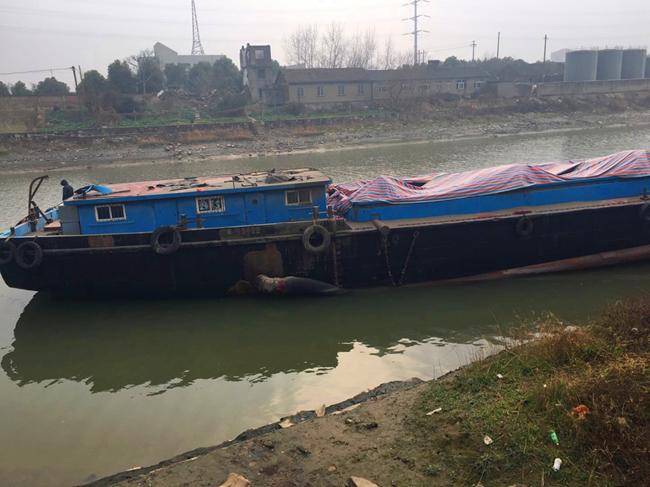 长江惊现隐形采砂船！一晚采10000吨“软黄金”，为何如此疯狂？