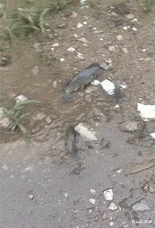 “女友闺蜜深夜约我看海，该注意啥？”