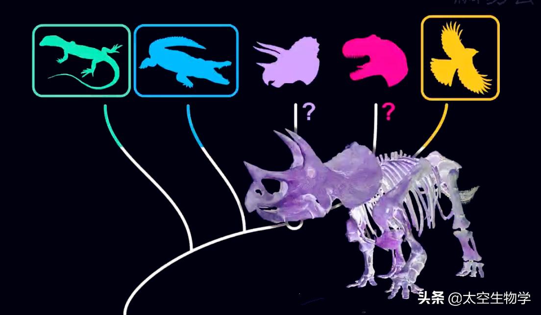 恐龙能适应现在的地球环境吗,恐龙在什么样的环境下才能有翼