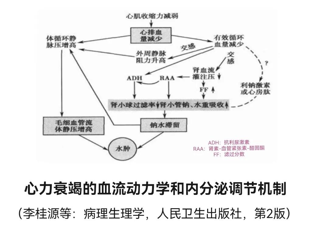 心衰的一般治疗和常用治疗药物,心衰指南药物治疗最新