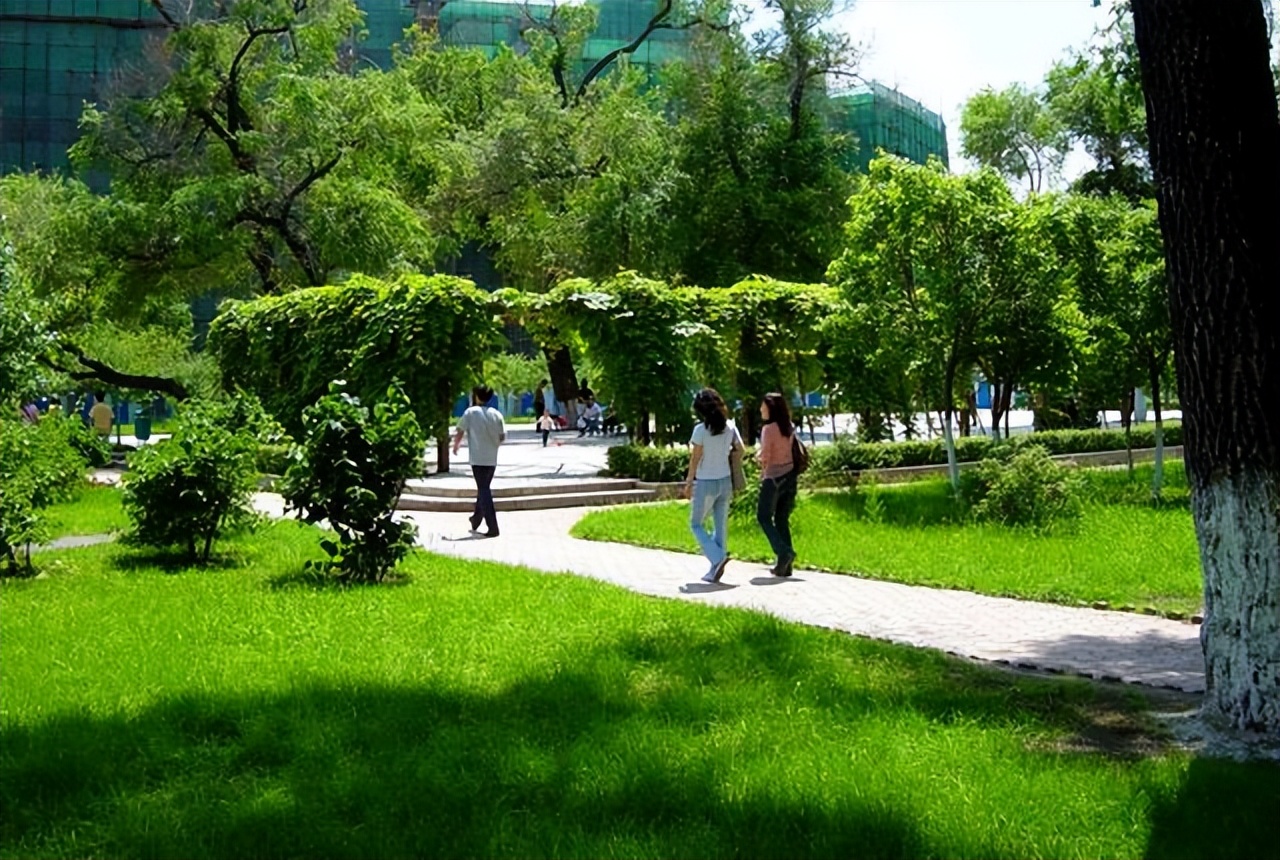 黑龙江省即将升为本科的专科院校,黑龙江即将升为本科的大学