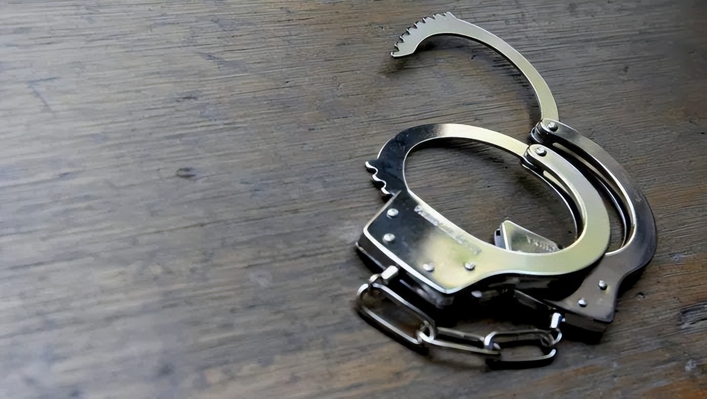 金英丽被判多少年,金英丽被判几年