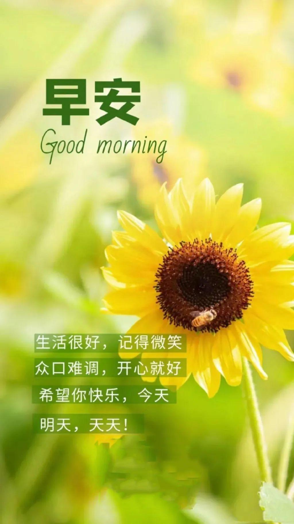早安问候心语正能量早安语录,每日早安问候语正能量励志短句