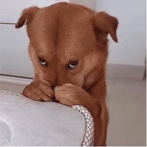 薄袜子男青少年大脚袜,袜子大脚男袜