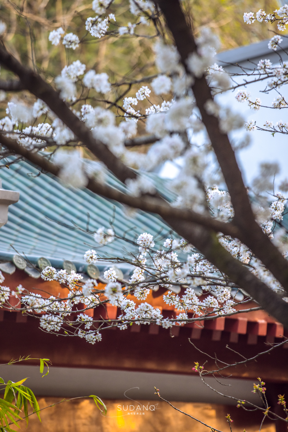 姝︽眽鏈堟箹鍏洯椋庢櫙,姝︽眽鏈堟箹鍏洯缇庢櫙