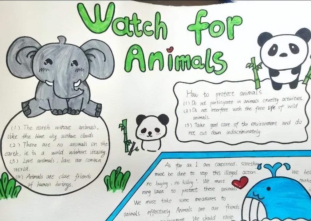 保护动物的英语手抄报六年级图文,英语保护动物手抄报六年级内容