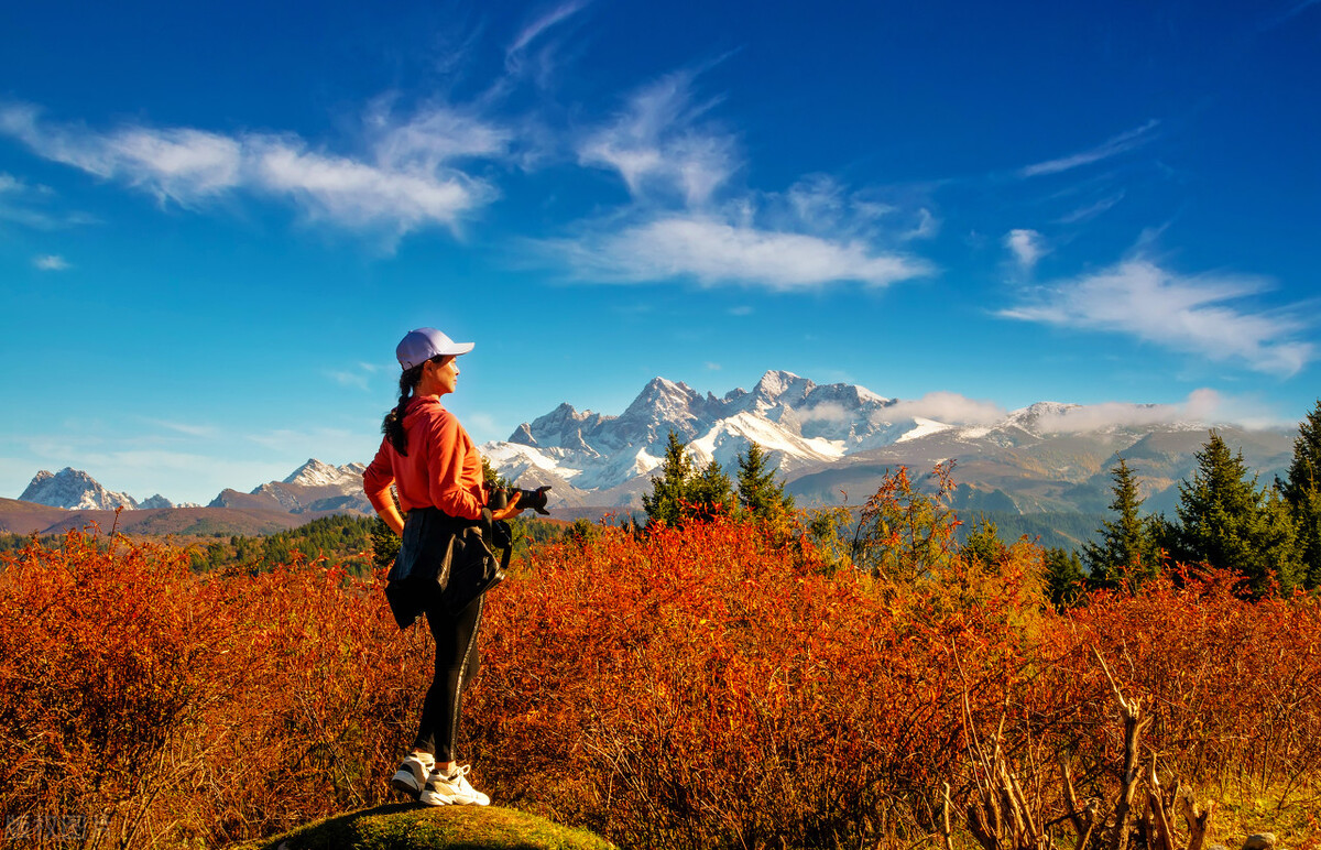 深夜走心文案短句干净何以解忧,深夜的酒果然能治愈的走心文案