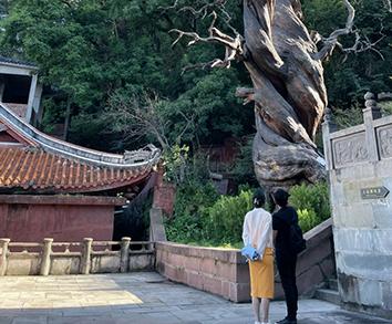 郑恺苗苗vs郑恺程晓玥,郑恺程晓玥郑恺苗苗