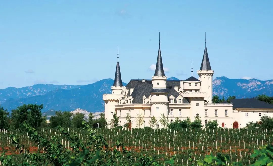 别“小看”了91.92亿