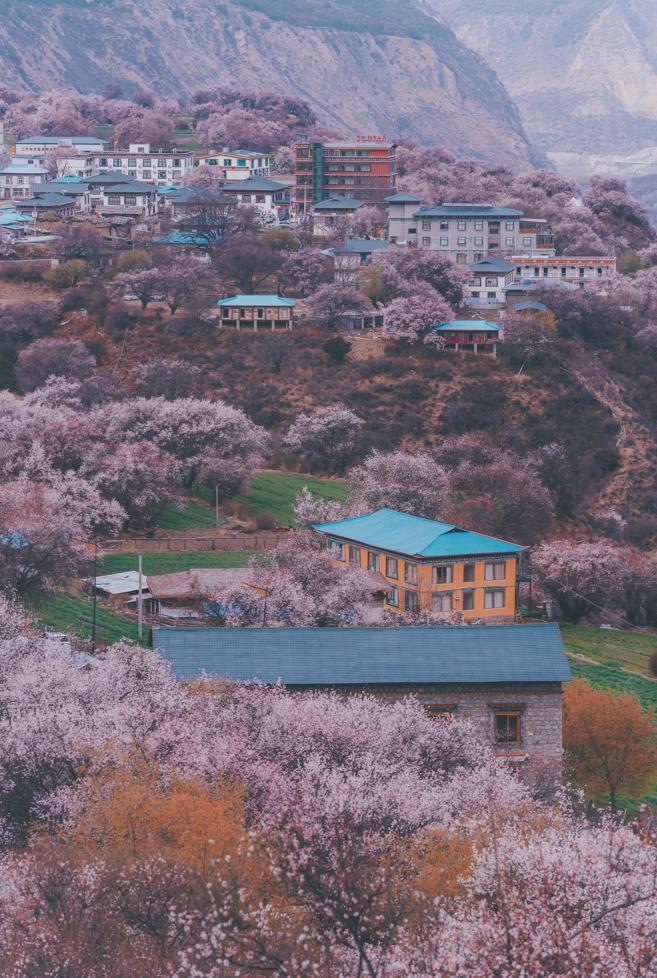 龙泉山看桃花徒步最佳路线,徒步穿越十里桃花漫山遍野