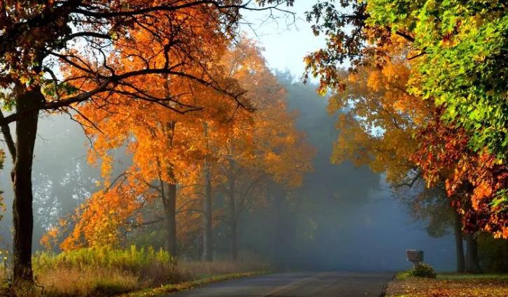 托普朗宁ienglish怎么样,托普朗宁效果好吗