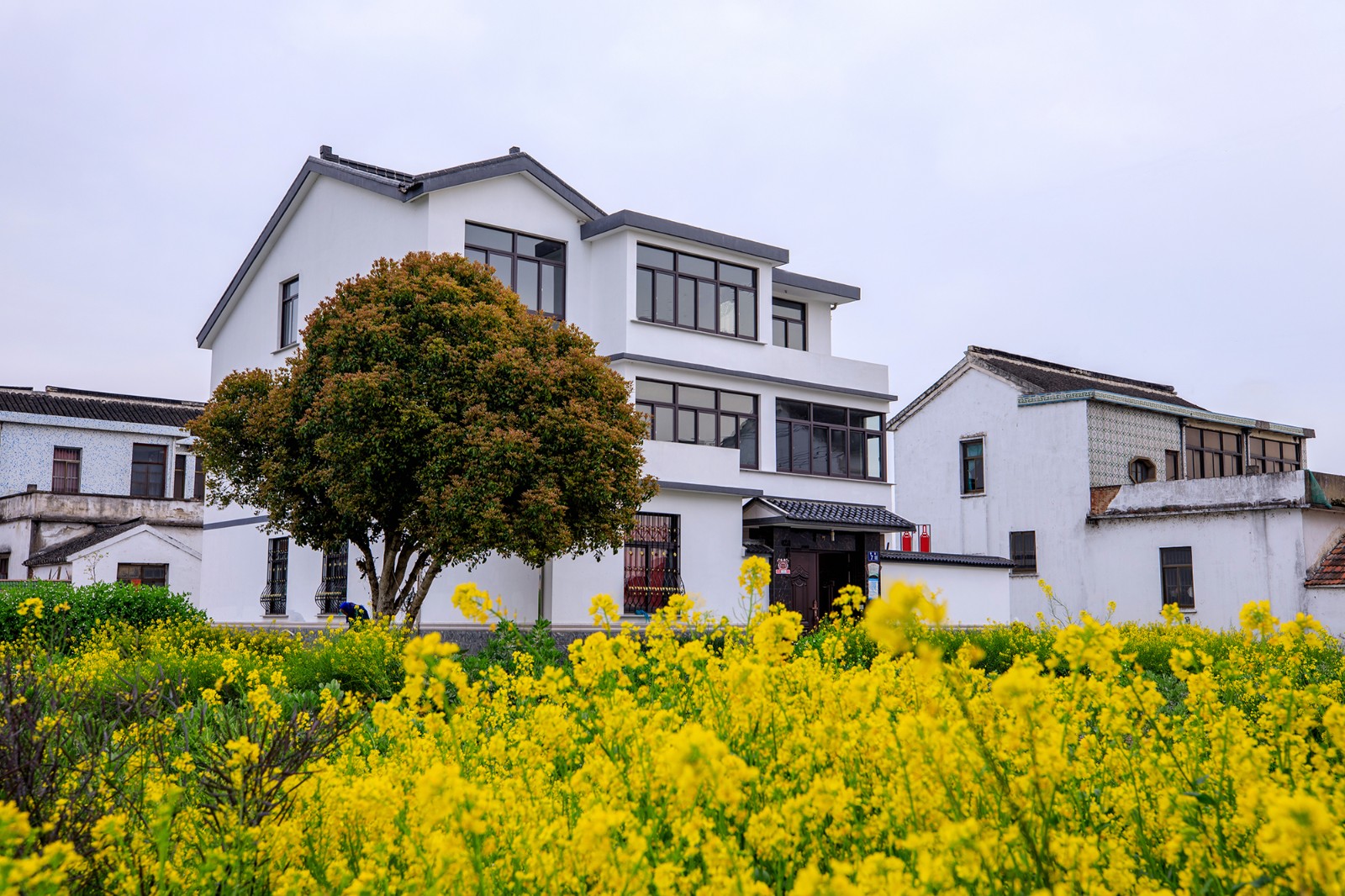 沙家浜景区诗句,沙家浜芦荡在什么地方