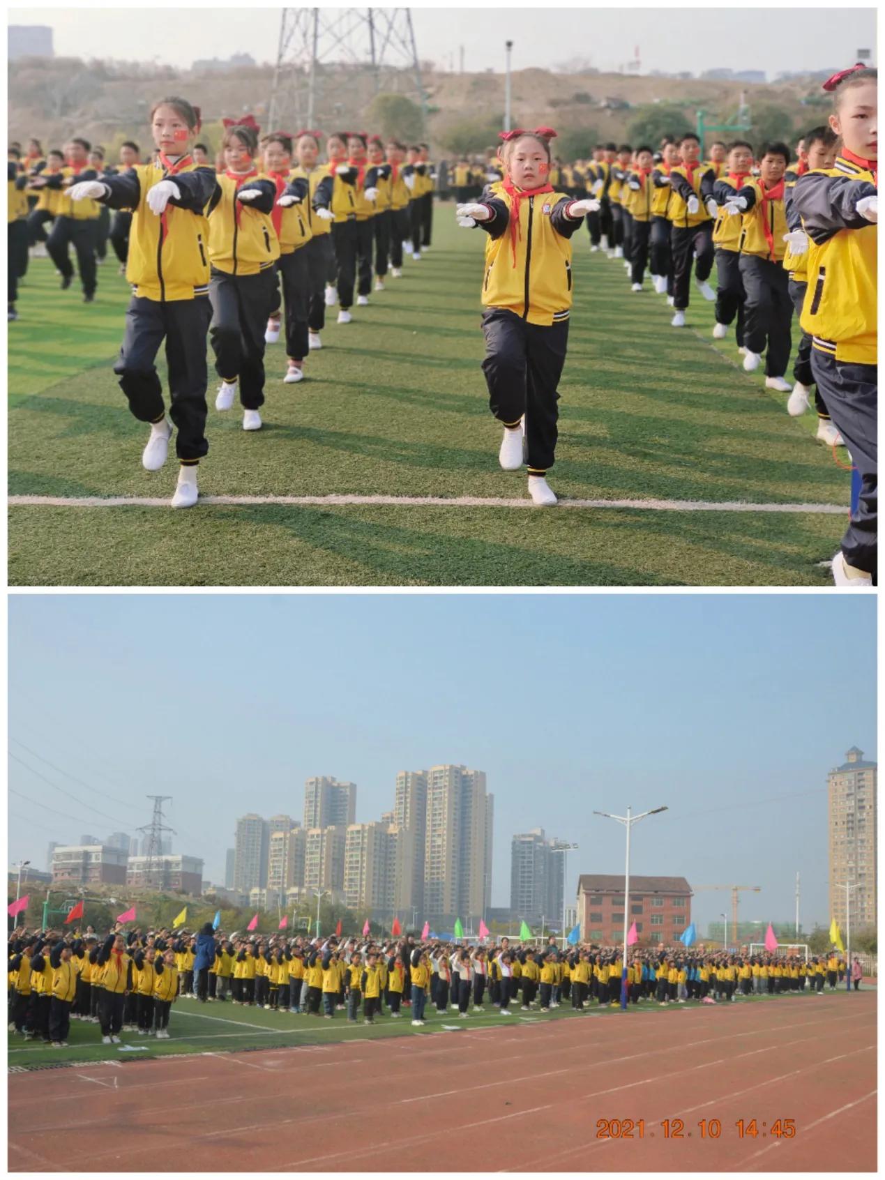 珠晖区苗圃小学足球杯,2024年珠晖区苗圃小学足球嘉年华