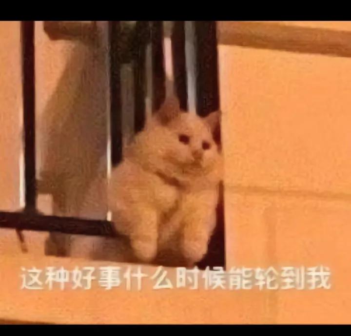 搞笑图片笑得肚子疼大全,搞笑图片