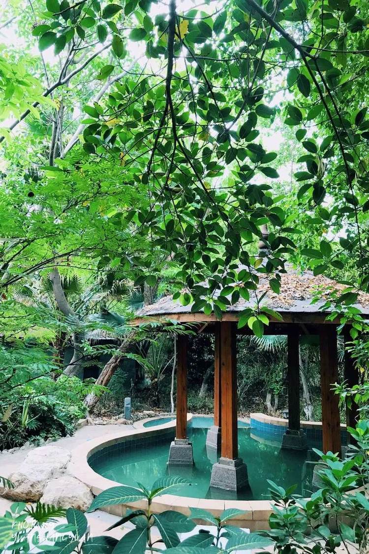 四川攀枝花城市风景,四川攀枝花城市介绍