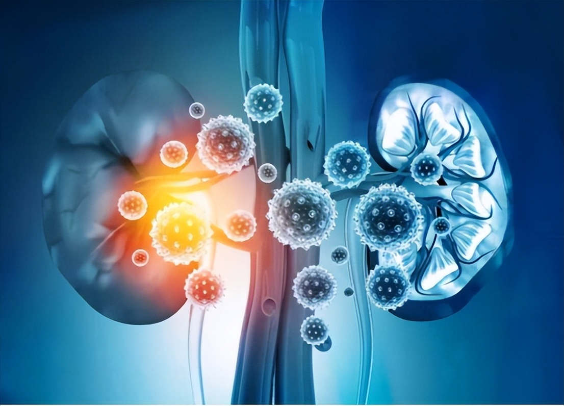 雌激素下降为何容易尿路感染,反复尿路感染能用雌激素吗