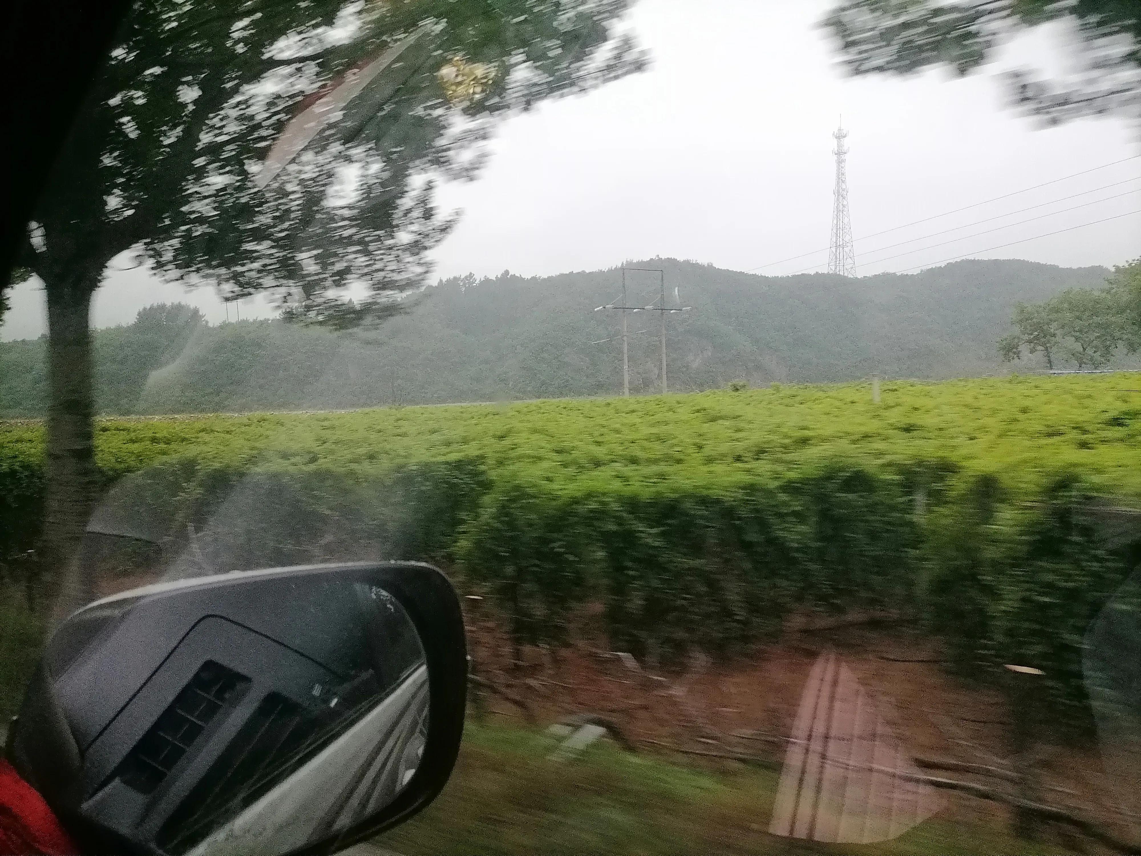 桂云花乡到步云山乡,大连通往庄河的路边风景美如仙境