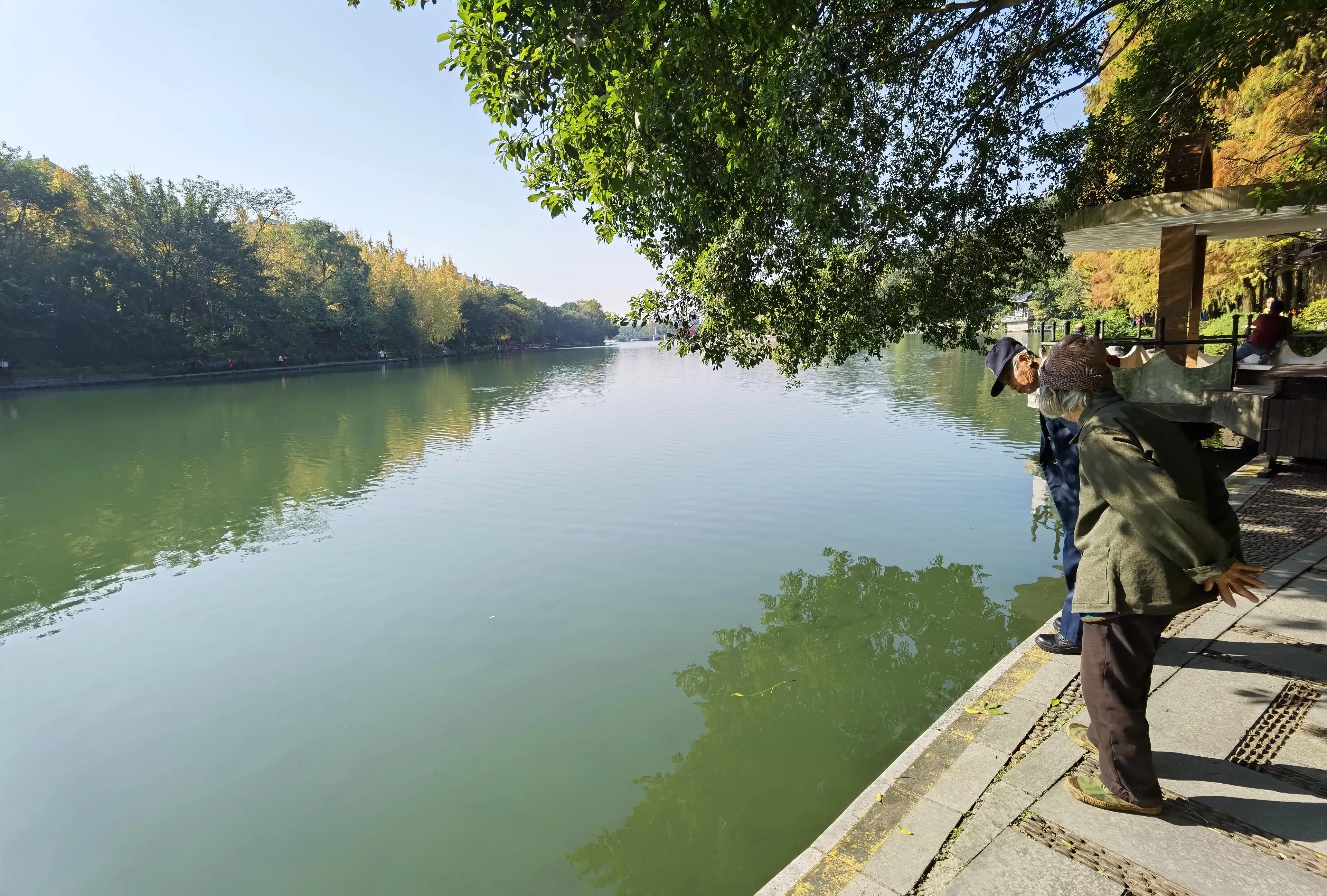 桂林的桂湖在哪里,桂林两江四湖之桂湖