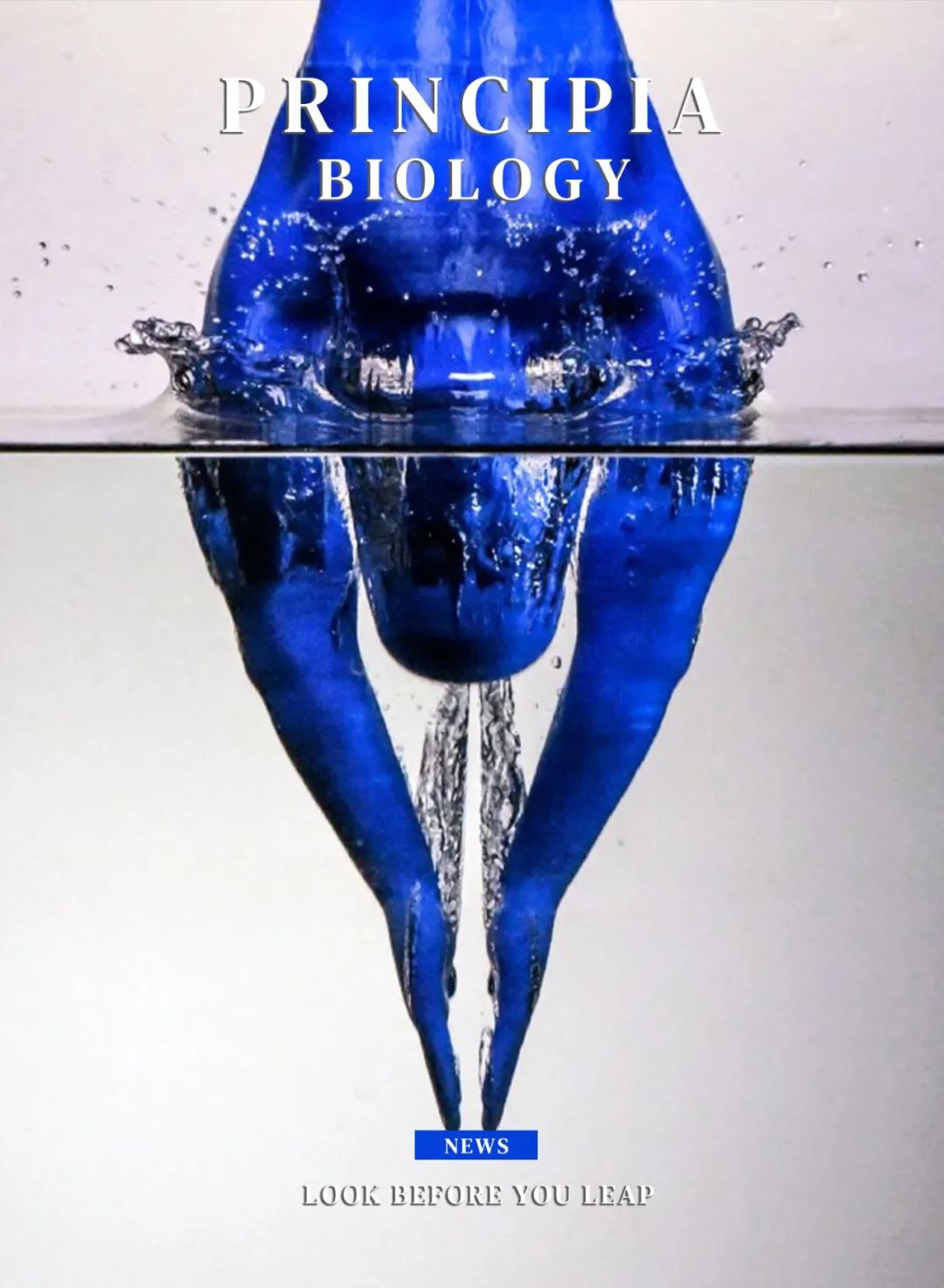 跳水的安全高度,跳水什么姿势最安全