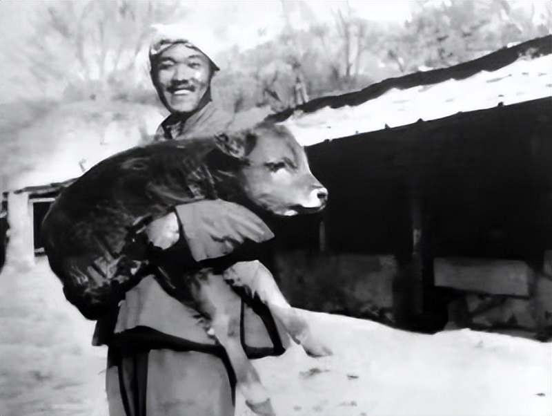 史铁生2011年捐献器官,史铁生尿毒症后写的什么