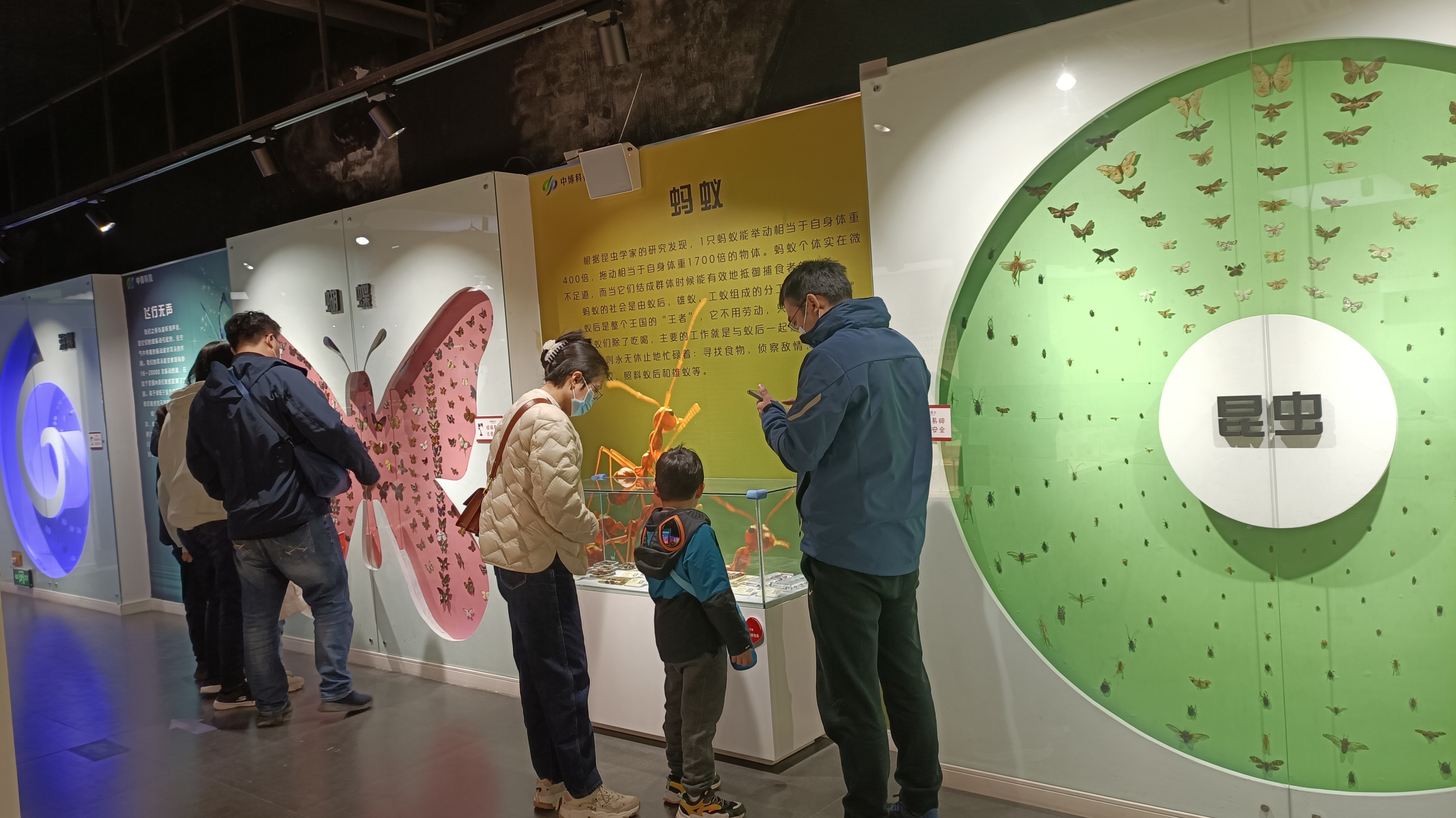 郑州最适合踏青赏花爬山的地方,郑州春日赏花好去处推荐