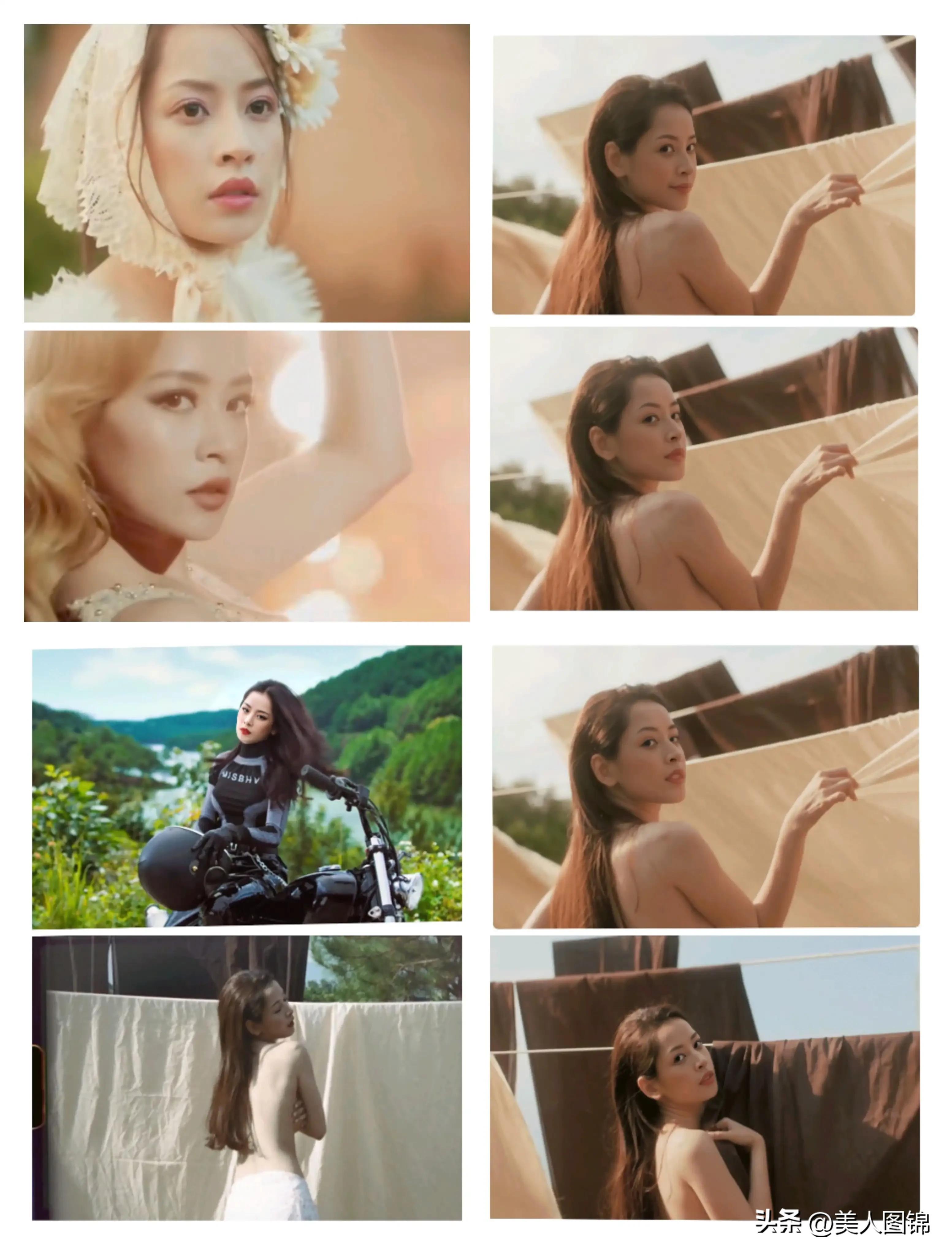 越南芝芙,芝芙越南