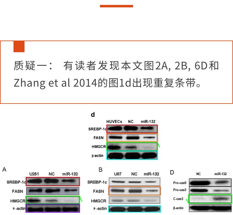 又见广东二院张锦前！联合北京三甲医院发表的高分论文疑似有问题