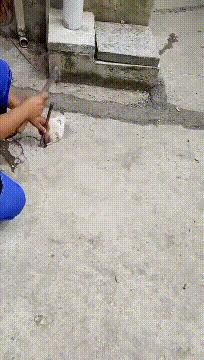 有没有结婚找不到伴娘的尴尬,实在找不到伴娘