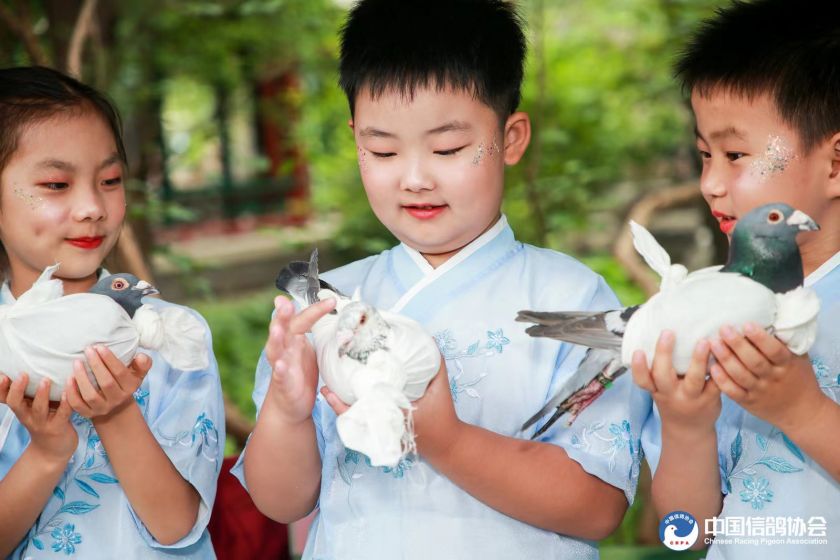 宋庆龄故居内和平鸽舍,建党100周年庆祝大会放飞和平鸽