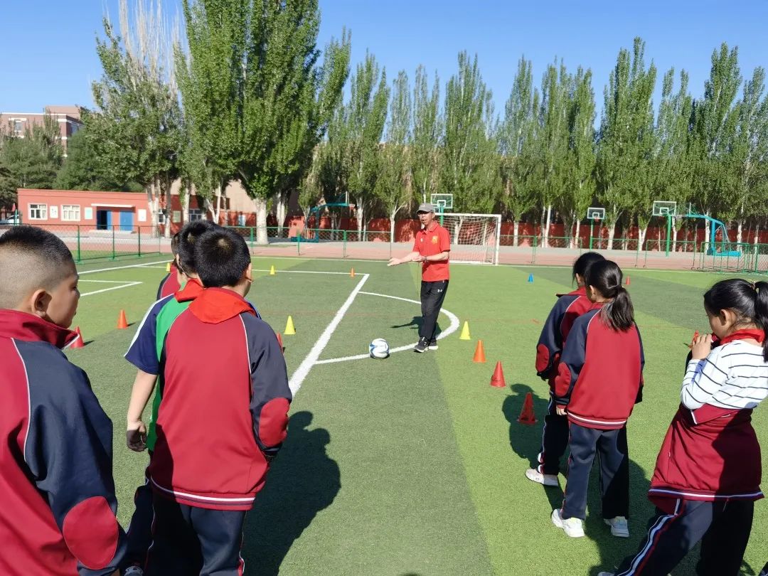 骨干教师示范引领个人工作总结,省市区优秀教师示范引领