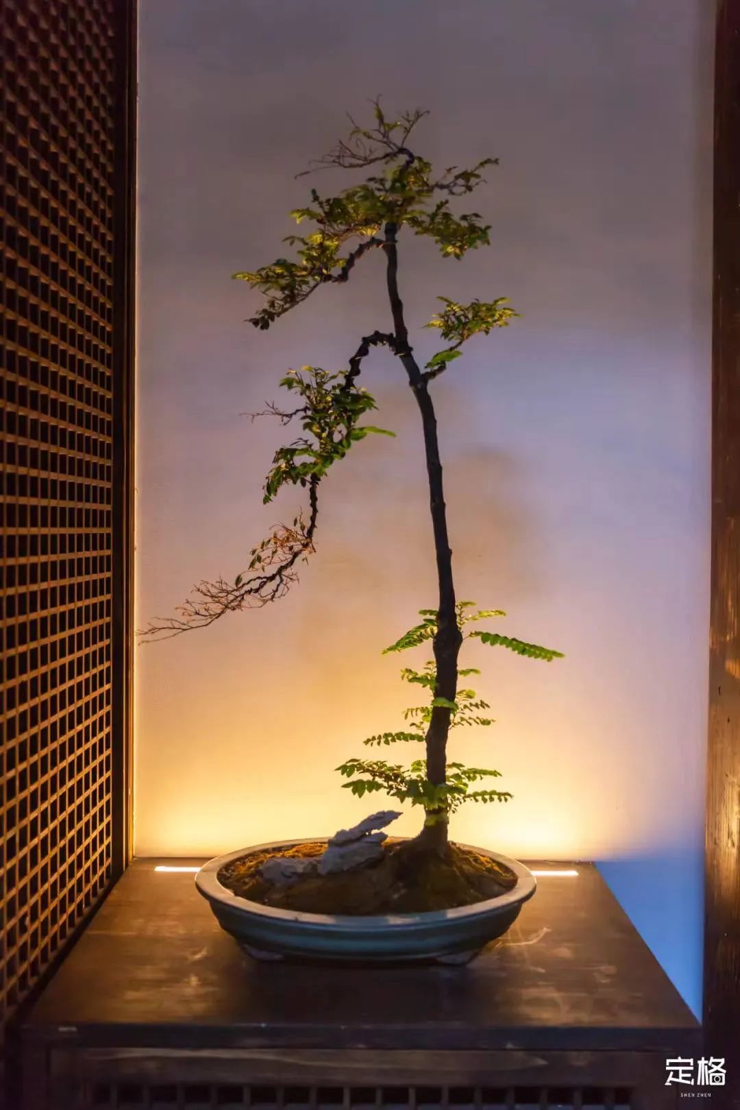 深圳古风拍照场地,广东深圳古风拍照推荐