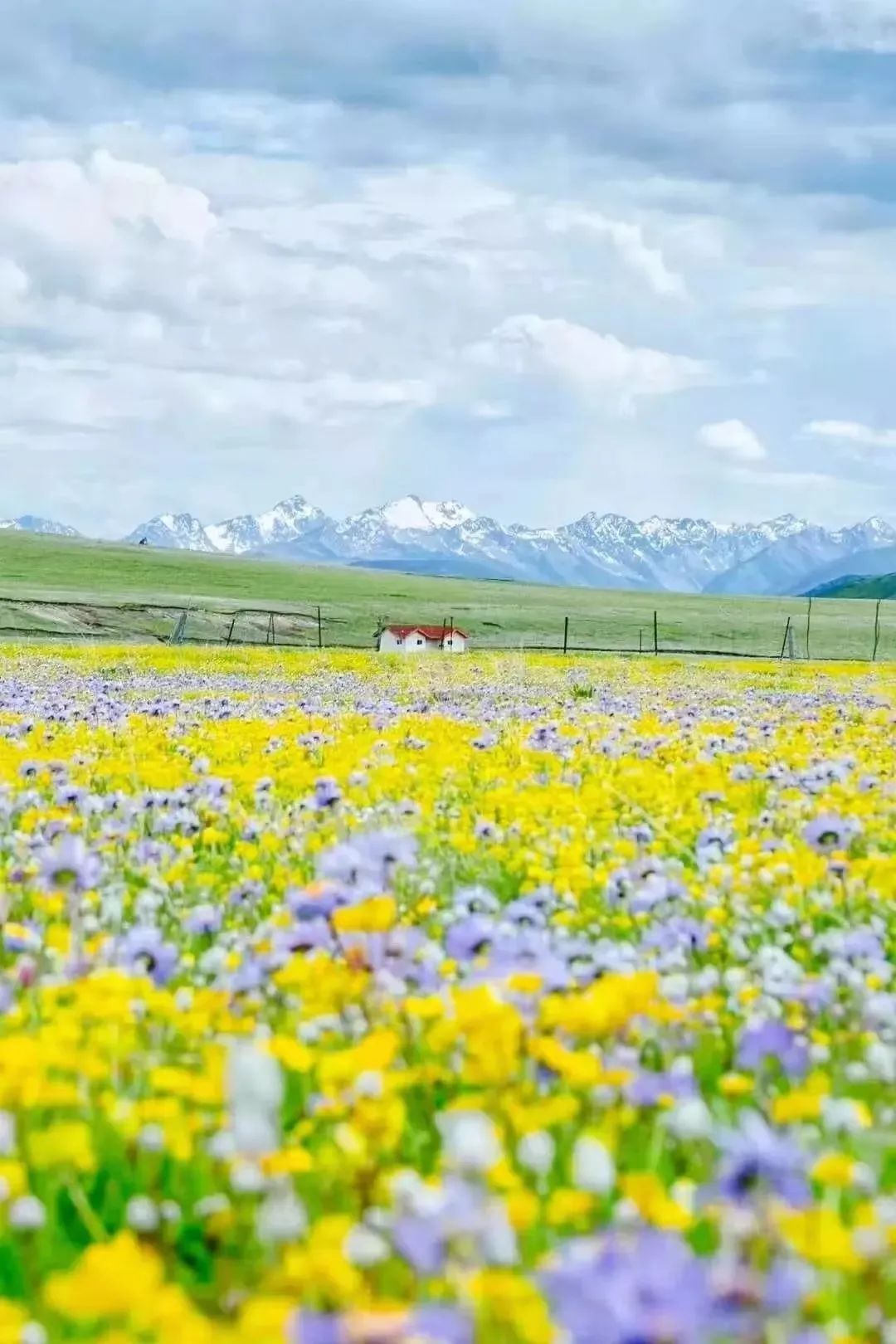 诗与远方美景,诗与远方四川