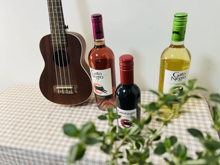 前段时间开始喜欢喝葡萄酒,买了这款黑猫葡萄酒体验一下