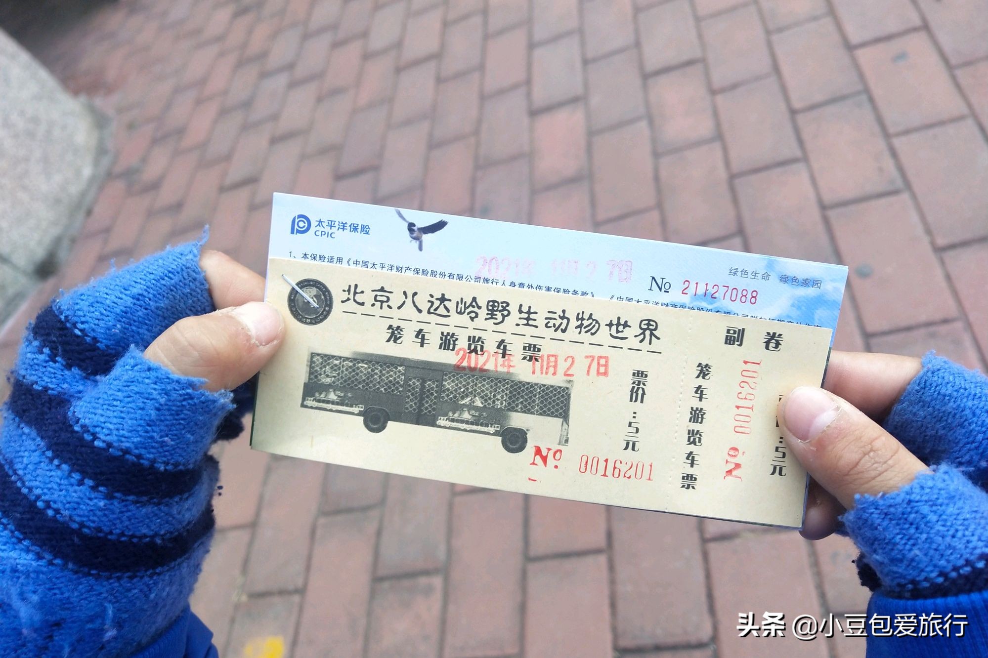 八达岭北京野生动物园推荐,两个人花100块钱能在北京玩多少