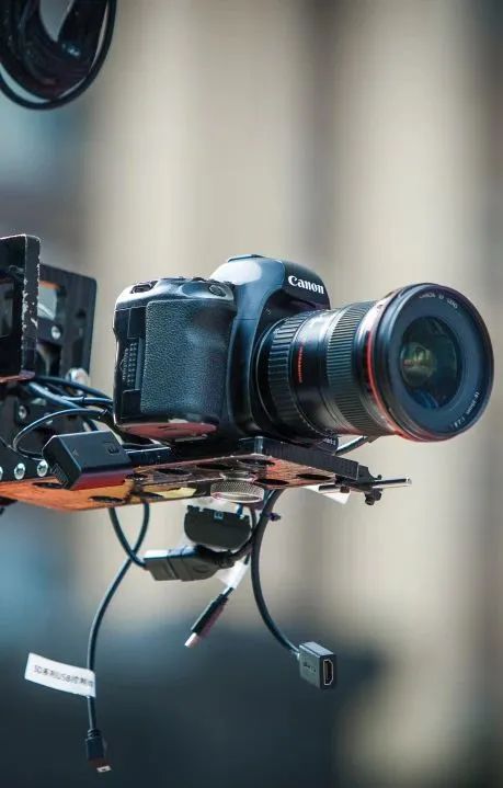 鏄庢槦浜虹墿绔嬬墝,绔嬬墝浜哄舰鏄庢槦