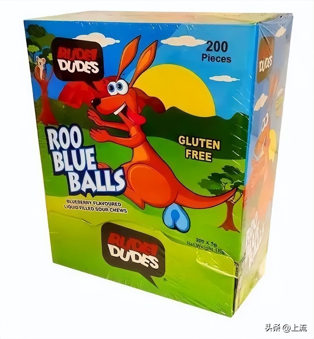 澳洲公袋鼠,澳洲的公袋鼠