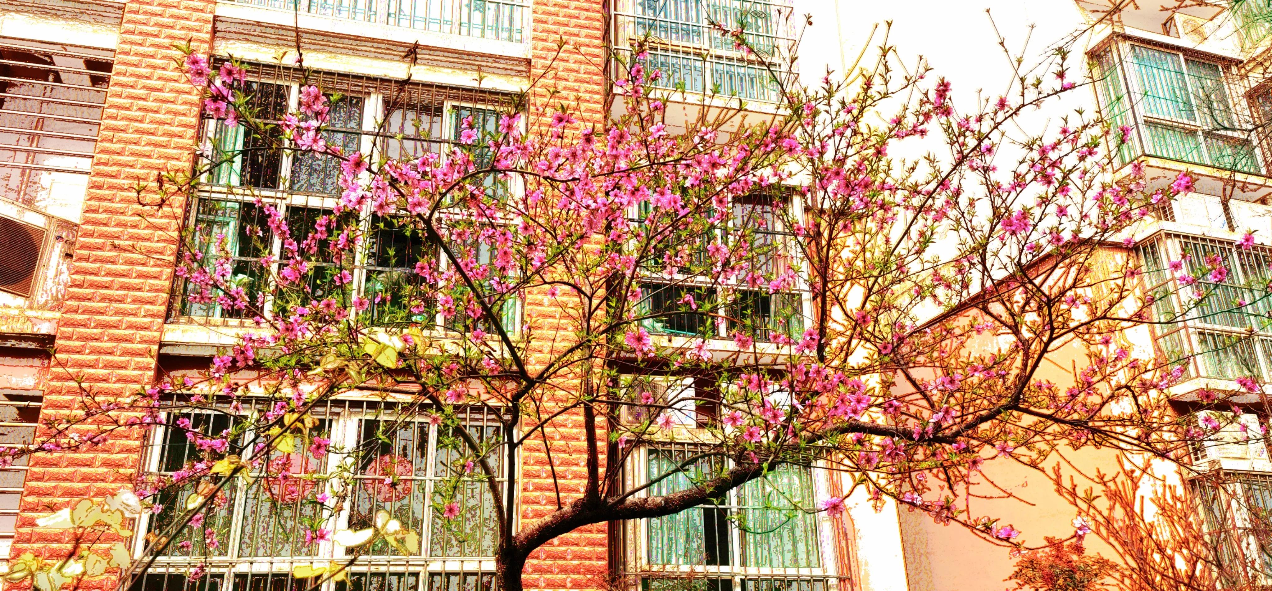 春天散文250字左右赏析,春天散文最美句子