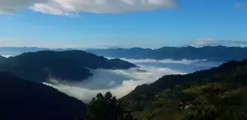 普洱茶记录,云南普洱茶的六大茶山