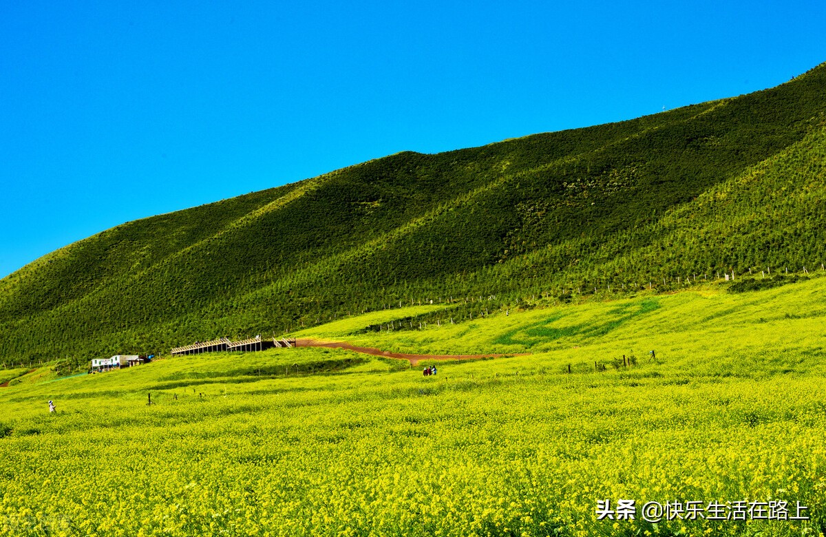 婆婆说生孩子容易,婆婆说女人嫁人就是要生孩子的
