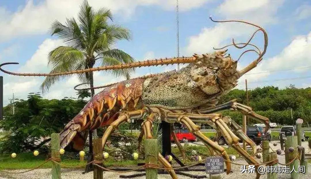 新西兰世界唯一的净土,新西兰一个隐藏的天堂